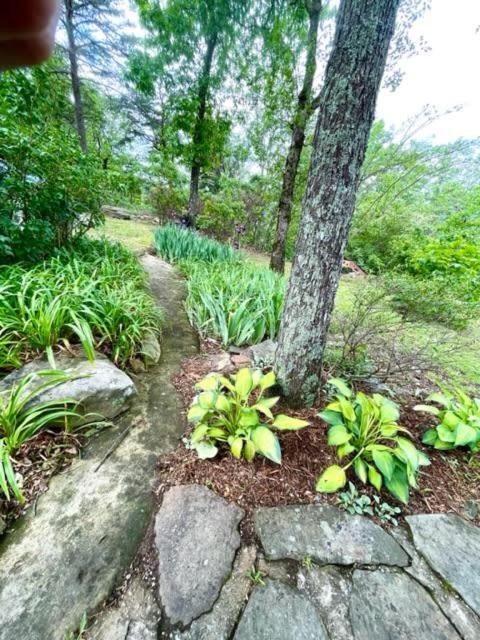 Eagles Perch - Mentone'S #1 Vacation Rental! Exterior foto